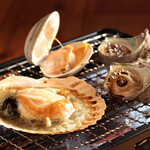 Assorted live shellfish (2 turban shells, 1 scallop, 1 white clam)