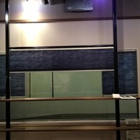月の木 - 窓越しに