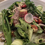 Harvest - サラダ