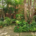 サザ コーヒー - 中庭②