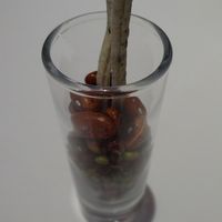 リストランテ カノフィーロ - 