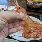 柿崎商店 海鮮工房 - プリプリ甘々なぼたんえび