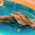 懐石料理 はし本 - 