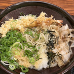 Nihonshu To Teuchi Soba Rikyouan - 海老天ぶっかけおろし蕎麦のアップ