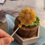 ベンガルタイガー - シャーベットもかわいい