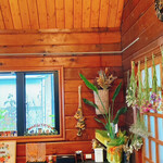 Cafe mofu mofu - 