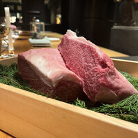 Metis 六本木 - 