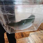 ウシマル - 九十九里産いなだ