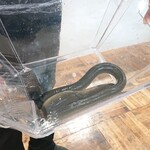 ウシマル - 九十九里産天然ウナギ