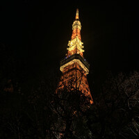 東京 芝 とうふ屋うかい - 