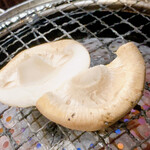 とんちゃんや ふじ はなれ - 