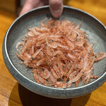 馳走西健一 - 4月のお昼のお料理 桜えびを…