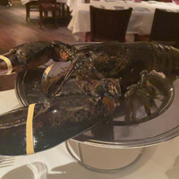 ウルフギャング・ステーキハウス 六本木 - 