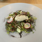 Trattoria esse - ノルウェーサーモン リコッタ 茄子のジェラート