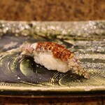 にぎり鮨 一五〇 - シャコ