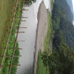 地鶏焼 ふかせ - 店内から肱川の景色