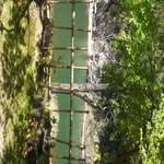 地鶏焼 ふかせ - 店内から肱川側