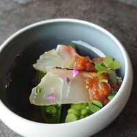 International cuisine subzero - 
