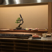 鳥匠いし井ひな - 