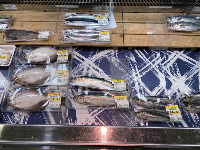 ベニーマート 松原店 - 聖愛中高前（その他）の写真