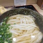 本格派博多うどん はし田たい吉 - うどん