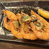 アカミヤコウシ - 