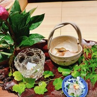 弧柳 - 