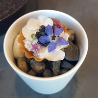 セリュー - 