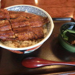 うなぎ丼(上)