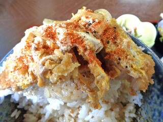 Yanagishokudou - カツ丼（大盛）（七味唐辛子をふって）