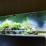 裏庭ラーメン - 