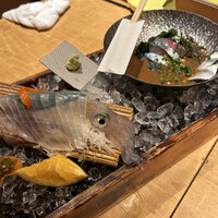 磯ぎよし 天神店 - 