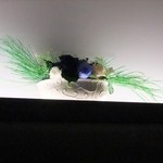 Gentillesse KOMACHI - 天井近くにもブリザードフラワーが・・・