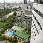 ホテルニューオータニ - ガーデンタワーからの景色