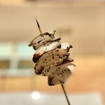 地葉はなれ - 2023.4.  新玉葱
      