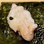 鮨処 池上 - 赤つぶ貝