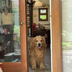 モンピジョン - 