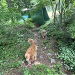 モンピジョン - 