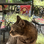 モンピジョン - 