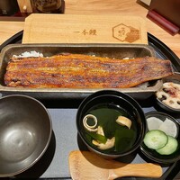 うなぎ四代目菊川 ヒルトンプラザウエスト大阪店 - 