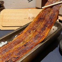 うなぎ四代目菊川 ヒルトンプラザウエスト大阪店 - 