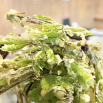 郷土料理ともん - 思ってた以上に、丈の長さが短めの良い場所ばかりがあがってます、ともんさん、とても抜かりないです　byまみこまみこ