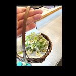 郷土料理ともん - 愛らぶコシアブラ　　byまみこまみこ