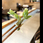 郷土料理ともん - こんな丈のをとってこれてるから素晴らしい〜　byまみこまみこ