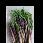 郷土料理ともん - ハンゴウソウ（反魂草）　byまみこまみこ