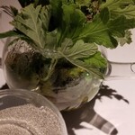 レスピラシオン - 