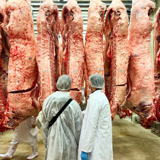 《Directly delivered from Shiga prefecture slaughterhouse》Cost performance of buying whole Omi beef◎