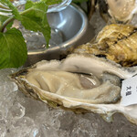 OYSTER HOUSE - 