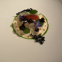 ジョンティ アッシュ - 