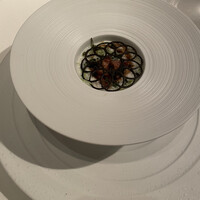 ジョンティ アッシュ - 